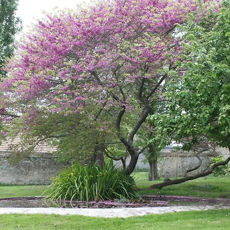 Manoir De L'oseraie Amaye-sur-Orne